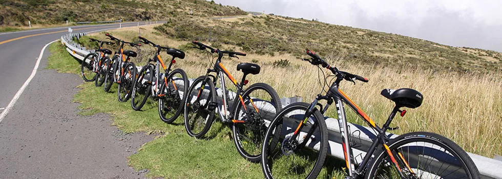 Cheapest Downhill Bike Tour Maui