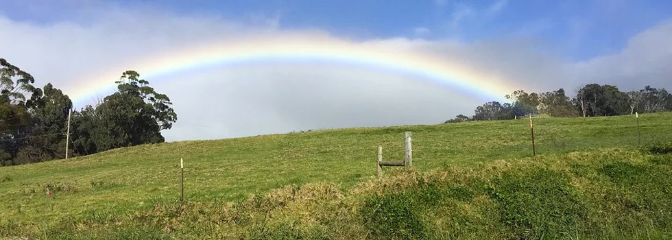 Rainbow Bike Tour Maui
