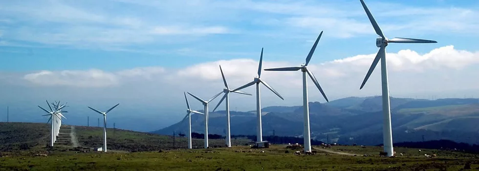 Bike Tour Maui Windmills
