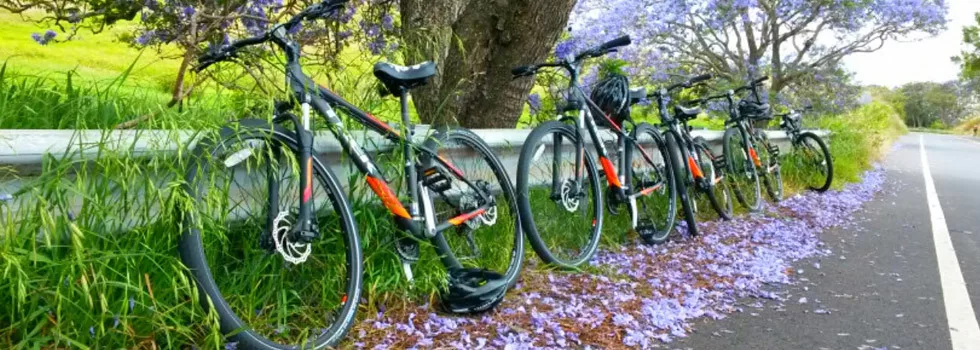 Haleakala Downhill Bike Ride