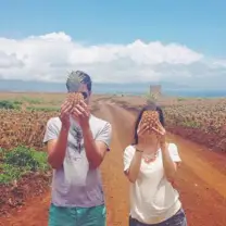 Pineapple Plantation Tour: Pineapple Tour Thumb