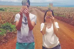 Pineapple Plantation Tour: Pineapple Tour Thumb