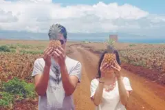 Pineapple Plantation Tour: Pineapple Tour Thumb