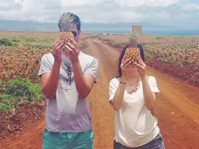Pineapple Plantation Tour: Pineapple Tour Thumb