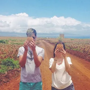 Pineapple Plantation Tour