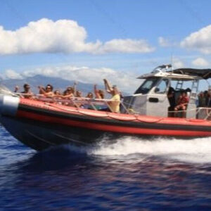 Private Speedboat Snorkeling Tour