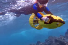 Wailea Scooter Snorkel Tour: Snorkel Scooter Thumb