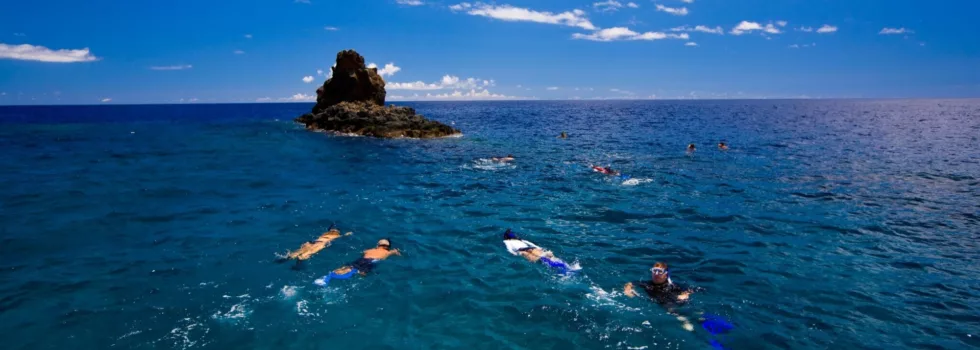Snorkel shark fin reef lanai