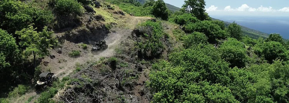 Best four wheel drive maui