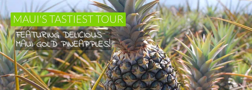 Hawaii pineapple plantation tour