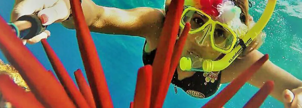 Best private snorkel tour maui