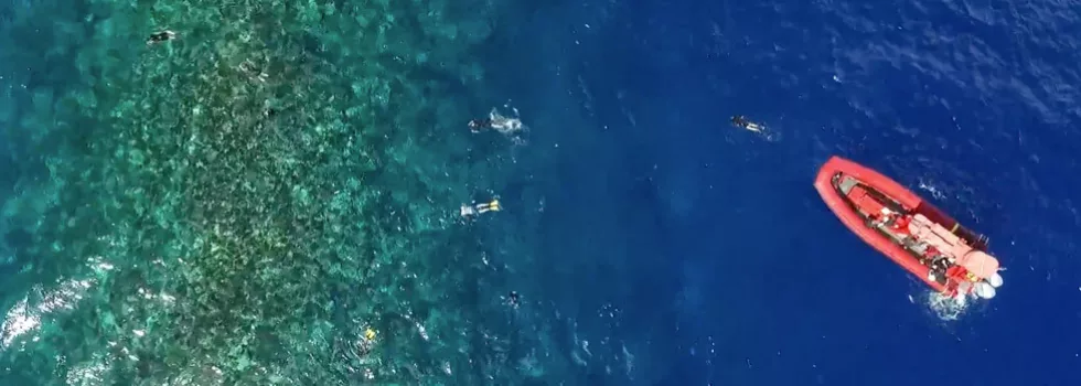 Molokini private charter