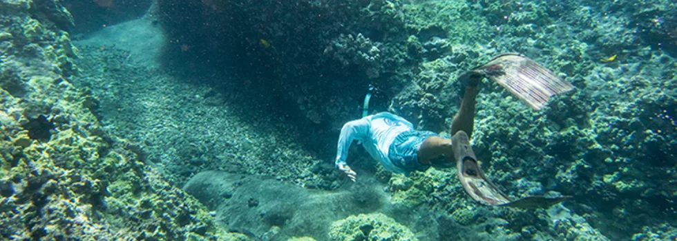 Molokini snorkel boat