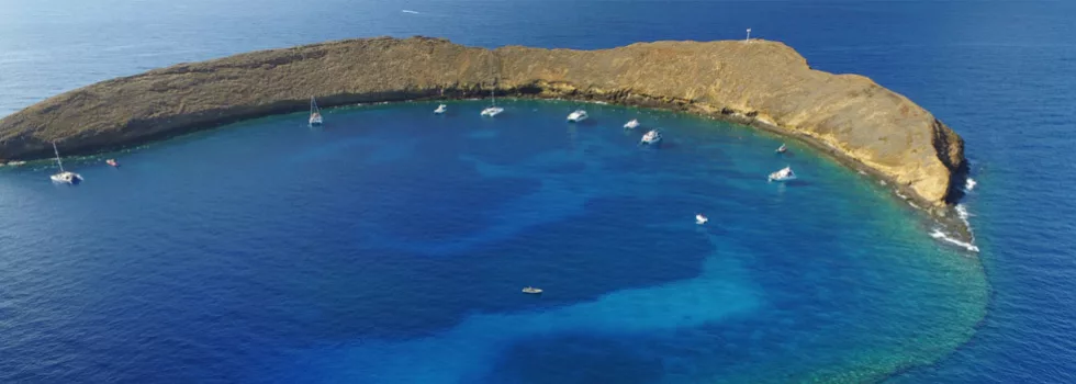 Molokini maui snorkeling tour