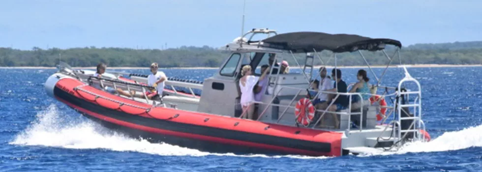 Molokini zodiac snorkel tour