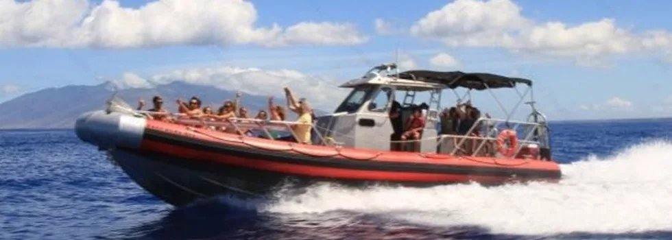 Private maui boat snorkel tour