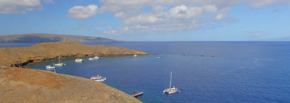 Private zodiac molokini snorkel