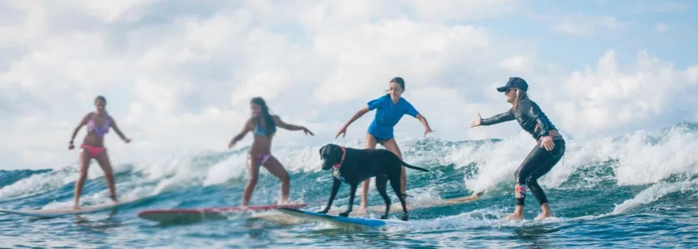 Surf with dogs maui