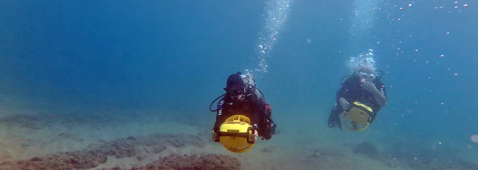 Wailea point scuba dive