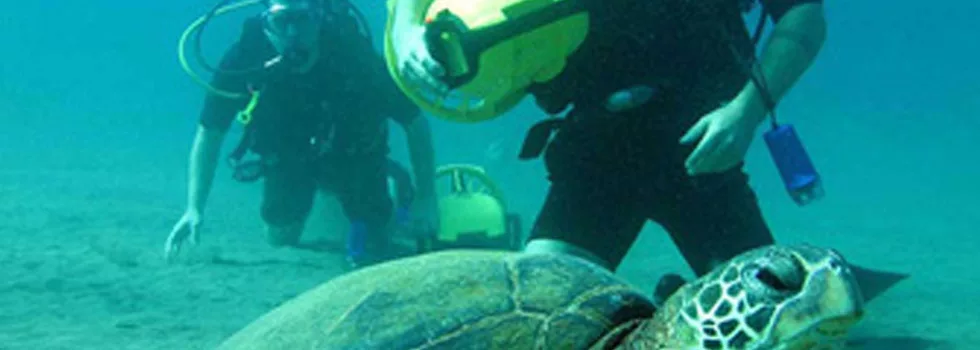 Learn To Scuba Scooter Maui