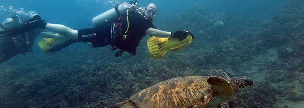 Scooter Scuba With Turtles Maui