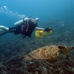Scooter Scuba Dive in Wailea