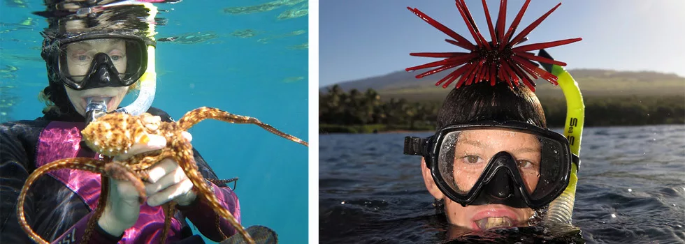 Learn To Snorkel Wailea Maui