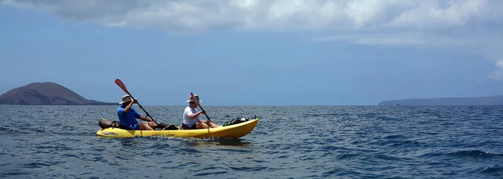 Where To Kayak Wailea Maui