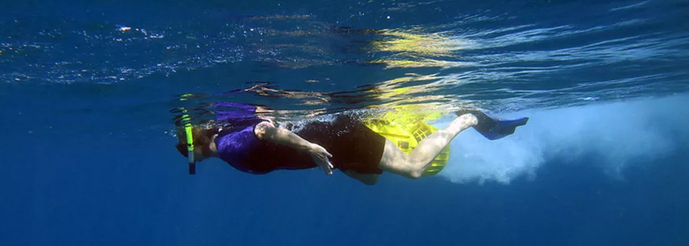 Snorkeling Tour Maui