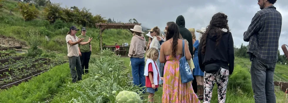 Farm tour upcountry vegetable tour