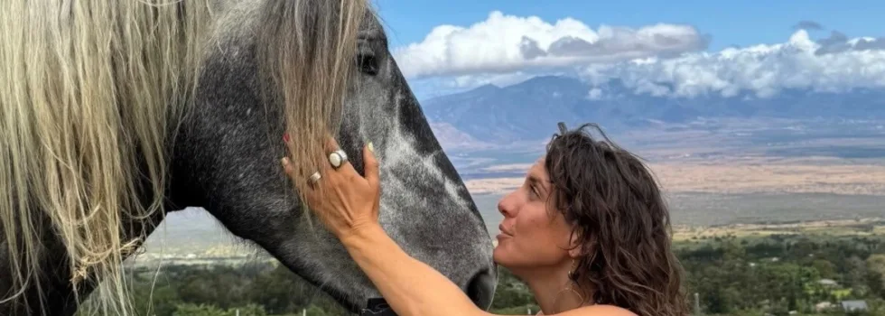 Meet horses during farm tour
