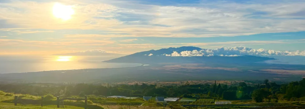 Upcountry farm tour maui during sunset