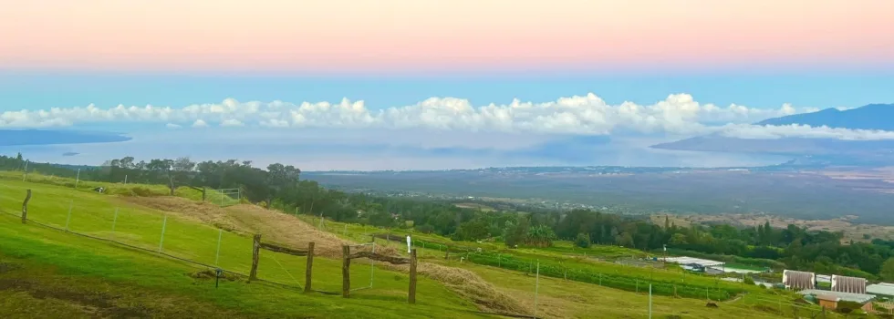 Upcountry maui sunset farm tour