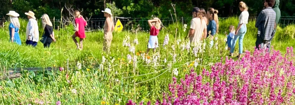 Flower farm tour maui