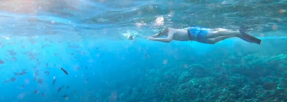 Snorkeling at molokini