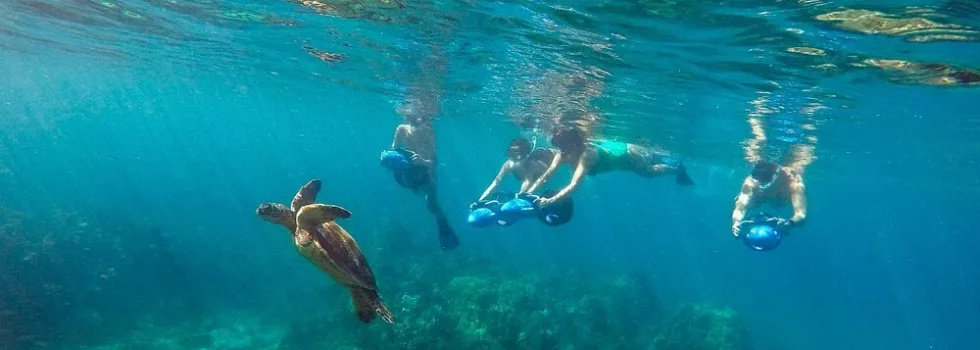 Scooter snorkel black rock maui
