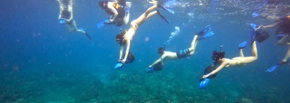Scooter snorkel maui hawaii
