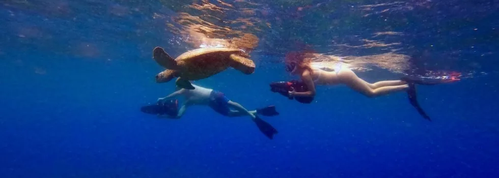 Scooter snorkel lahaina