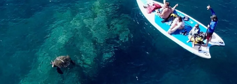 Giant sup snorkel lessons maui