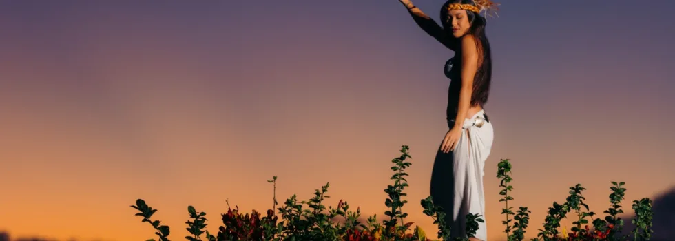 Hawaiian dancer luau maui