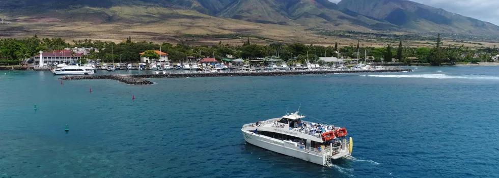 Large whale watching boat maui