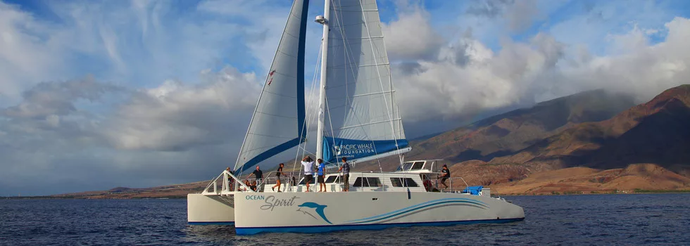 Maui whale watching catamaran