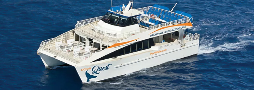 Whale watching boat on maui