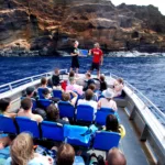 Snorkel guides backside molokini