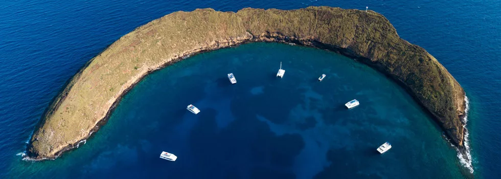 Molokini snorkeling on maui