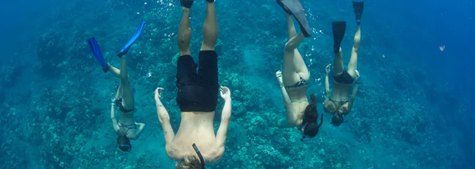 Intermediate snorkel tour maui