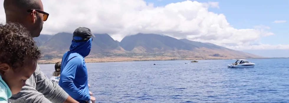 Haleakala views from boat