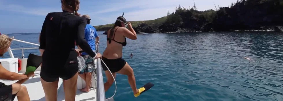 Snorkeler in honolua bay