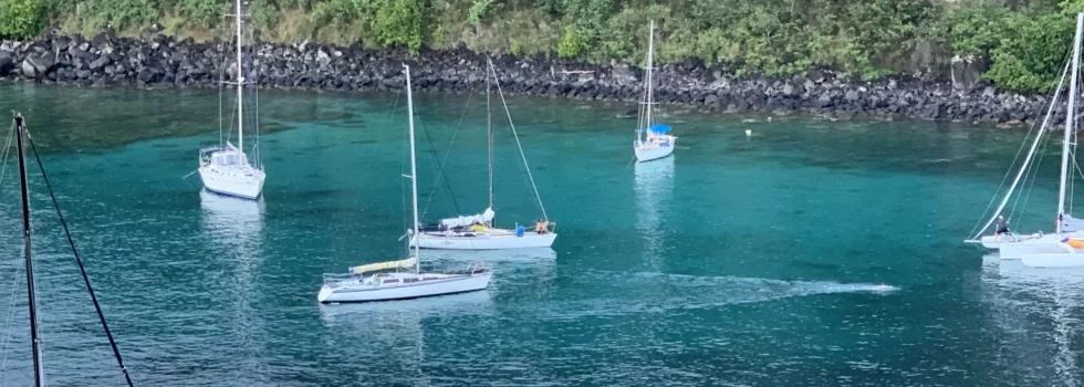 Honolua bay
