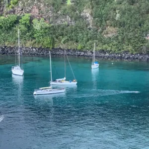 Honolua Bay Catamaran Snorkel